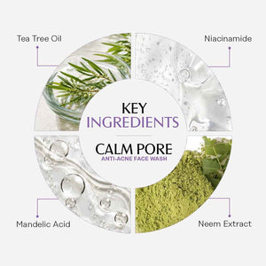 Calm Pore Anti-Acne Face Wash